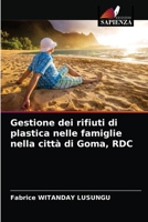 Gestione dei rifiuti di plastica nelle famiglie nella città di Goma, RDC 6203646733 Book Cover