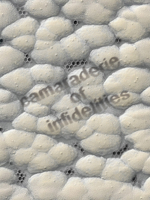 Camaraderie of Infidelities 8867497065 Book Cover