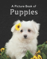 A Picture Book of Puppies: A Beautiful Picture Book for Seniors With Alzheimer’s or Dementia. A Wonderful Gift for Dog Lovers. B08L7TXCKB Book Cover