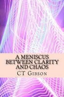 A Meniscus Between Clarity and Chaos: The Teachings of Spirit and the Sun Magician 1726299546 Book Cover