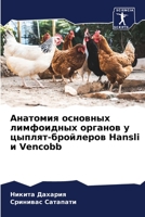 Анатомия основных лимфо& 6204090976 Book Cover