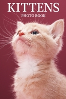 KITTENS PHOTO BOOK: 40 Beautiful Baby Cat Photos for Dementia & Alzheimer Patients to Help Memory Loss | 40 Various Kitten Images | Perfect Relaxing Activity Gift from Caregiver B08CWJ5Z32 Book Cover