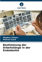 Bestimmung der Arbeitslänge in der Endodontie (German Edition) 6208526779 Book Cover