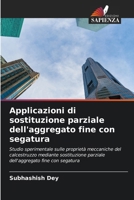 Applicazioni di sostituzione parziale dell'aggregato fine con segatura (Italian Edition) 6207731875 Book Cover