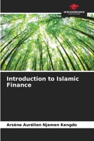 Introduction to Islamic Finance 620718680X Book Cover