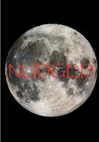 Nudged 1451580096 Book Cover