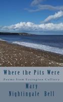 Where the Pits Were 1479308331 Book Cover