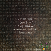 With My Faith, I Can Scale Any Wall: Letters from Hong Kong Prisoners null Book Cover