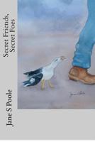 Secret Friends, Secret Foes 1480195057 Book Cover
