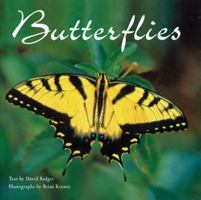 Butterflies 0785826904 Book Cover