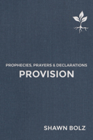 Provision: Prophecies, Prayers  Declarations 1952421012 Book Cover