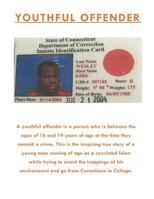 Youthful Offender 1541027205 Book Cover