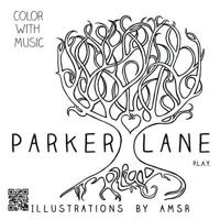 Parker Lane: P.L.A.Y. 1524627348 Book Cover