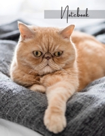 Notebook: Unlined - Unruled - Plain Notebook - Blank Journal - 130 Pages - Large Format 8.5 x 11 in - Workbook - Composition - Cats - Exotic Cover Design 1716113148 Book Cover