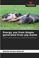 Energy use from biogas generated from pig waste 6209045782 Book Cover