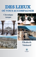 Des lieux où vous accompagner: Chronique turque B0C9GCNW1Y Book Cover