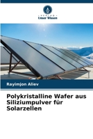 Polykristalline Wafer aus Siliziumpulver für Solarzellen (German Edition) 6209919804 Book Cover
