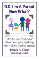 Ok I'm a Parent Now What?: A Collection of Articles about Mentoring Modeling and Making Fantastic Families 0615460348 Book Cover