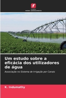Um estudo sobre a eficácia dos utilizadores de água (Portuguese Edition) 6209841449 Book Cover