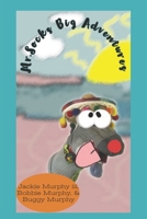 Mr. Sock's Big Adventure B0BGNCDKW6 Book Cover