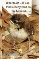 What to do- if You Find a Baby Bird on the Ground 1500448834 Book Cover