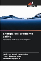 Energia del gradiente salino 6207032012 Book Cover