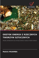 Odzysk Energii Z Rzecznych Tworzyw Sztucznych (Polish Edition) 6630035909 Book Cover