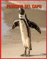 Pinguino del Capo: Immagini bellissime e fatti interessanti Libro per bambini sui Pinguino del Capo B08XL9QHMP Book Cover