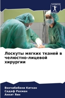 Лоскуты мягких тканей в ч 6205707683 Book Cover