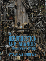 The Resurrection Appearances: Fragments of a Daybook 1938900537 Book Cover