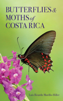 Butterflies and Moths of Costa Rica 150178160X Book Cover