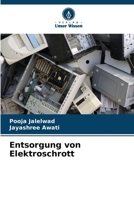 Entsorgung von Elektroschrott 6209749917 Book Cover