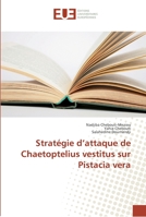 Stratégie d’attaque de Chaetoptelius vestitus sur Pistacia vera 3841668917 Book Cover
