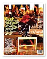 Skatebook5: The Hellmag Takeover Volume 0982111649 Book Cover