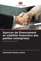Sources de financement et viabilité financière des petites entreprises 6207302745 Book Cover
