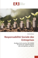 Responsabilité Sociale des Entreprises 6203412120 Book Cover