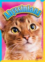 Abyssinians 1644660148 Book Cover