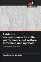Evidenze microeconomiche sulla performance del settore informale non agricolo: in Burundi nel 2006-2008 6205898934 Book Cover