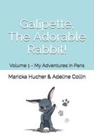 Galipette, The Adorable Rabbit (My Adventures in Paris) 1090274084 Book Cover