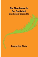 Die Sternbuben in Der Gro Stadt 9356708711 Book Cover