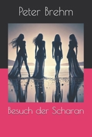 Besuch der Scharan (German Edition) B0F5GN17GV Book Cover