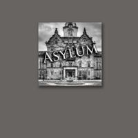 Asylum 1479298719 Book Cover
