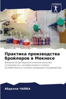 Практика производства б& 6205276054 Book Cover