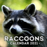 Racoons: 2021 Calendar, Cute Gift Idea For Racoon Lovers Men And Women B08VCYHNM6 Book Cover