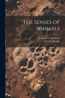 The Senses of Animals 1378270541 Book Cover