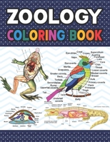 Zoology Coloring Book: Fun and Easy Zoology Coloring Book for Kids. Animal Anatomy and Coloring Book. Dog Cat Horse Frog Bird and More Anatomy ... Handbook of Zoology Students & Teachers. B08R1BPJ8T Book Cover