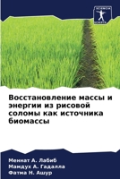 Восстановление массы и энергии из рисовой соломы как источника биомассы 6206111253 Book Cover