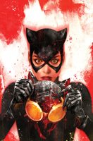 Catwoman Vol. 4: Where the Heart Is 179951000X Book Cover