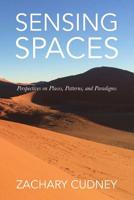 Sensing Spaces: Perspectives on Places, Patterns, and Paradigms 1092726284 Book Cover