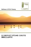 Le Reflet d'Une Chute Brillante 6209566855 Book Cover